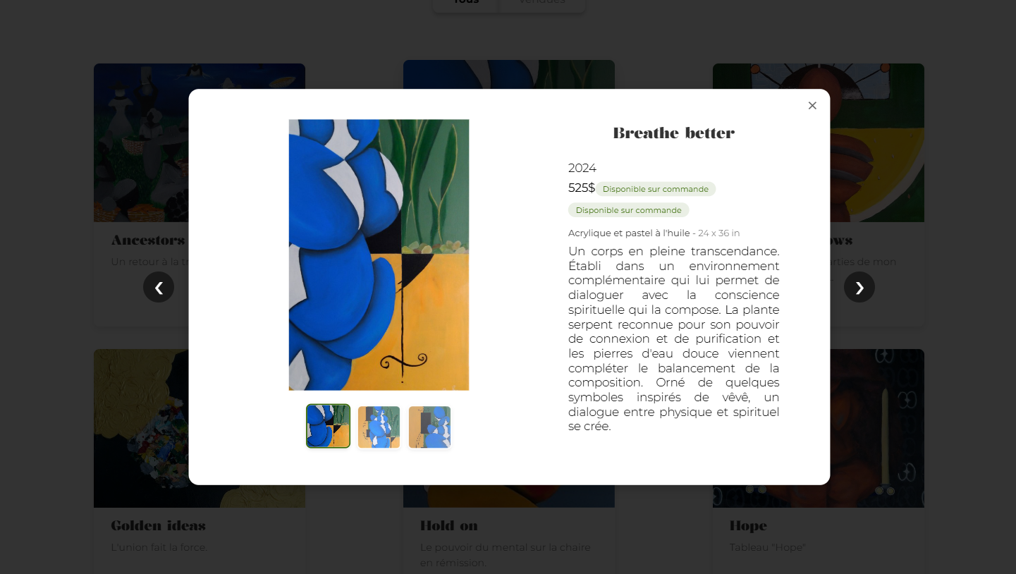 Project gallery grid on the À Dos D'Anne website